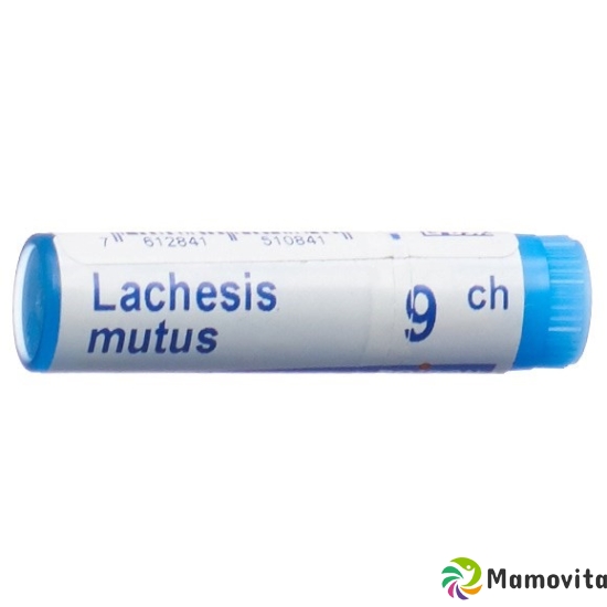 Boiron Lachesis mutus Glob 9C 1 dose buy online