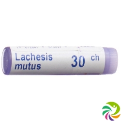 Boiron Lachesis mutus Glob C 30 1 Dos