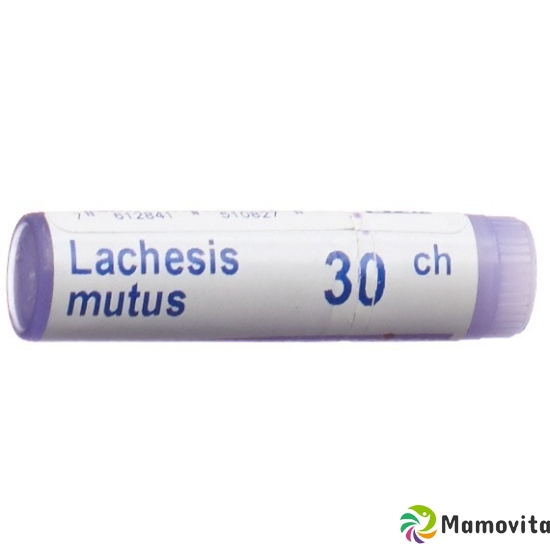 Boiron Lachesis mutus Glob C 30 1 Dos buy online