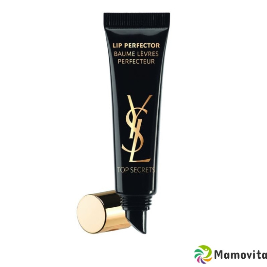 Ysl Soin Top Secr Lip Perfector 15ml buy online