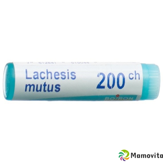 Boiron Lachesis mutus Glob 200C 1 dose buy online