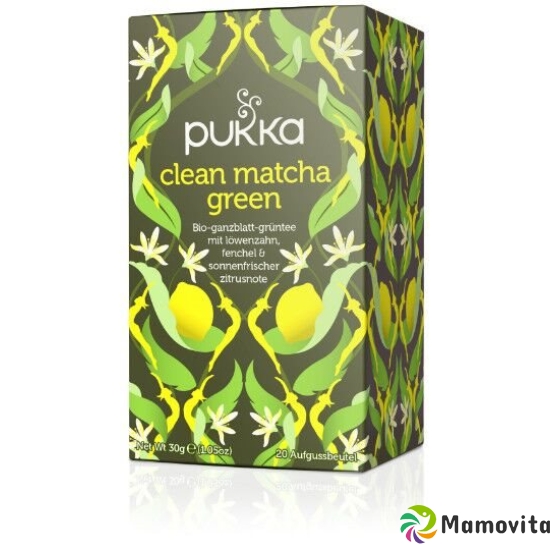 Pukka Clean Matcha Green Tee Bio Beutel 20 Stück buy online