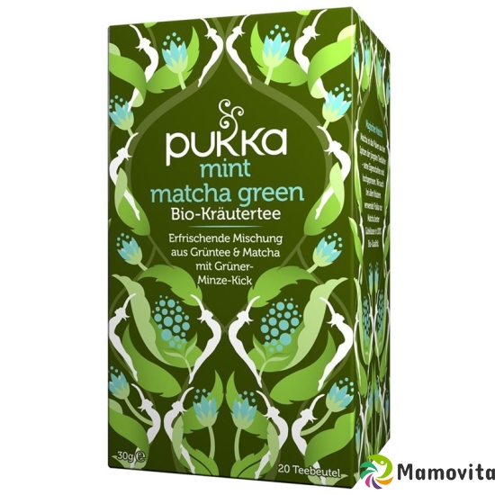 Pukka Mint Green Tea Matcha Bio Btl 20 pcs buy online