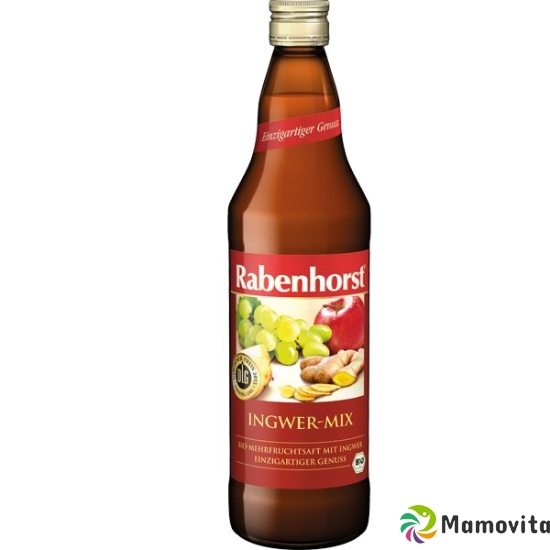 Rabenhorst ginger juice mix bio 7.5 dl buy online