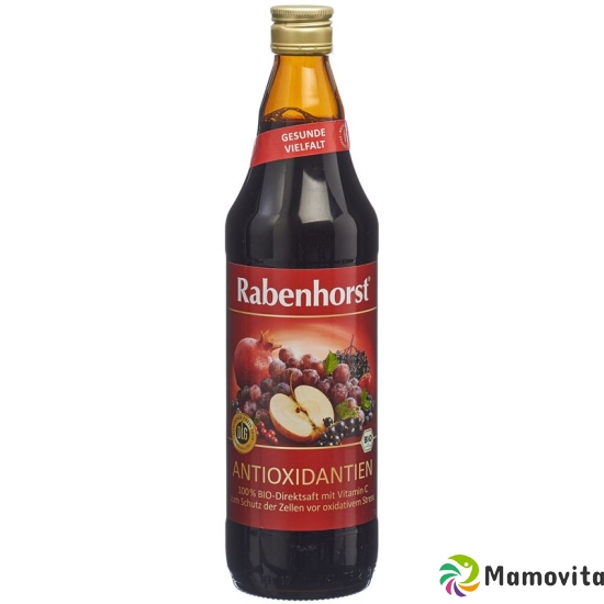 Rabenhorst antioxidants juice bio 7.5 dl buy online