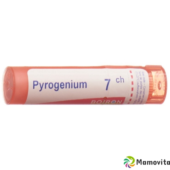 Boiron Pyrogenium Gran C7 4g buy online