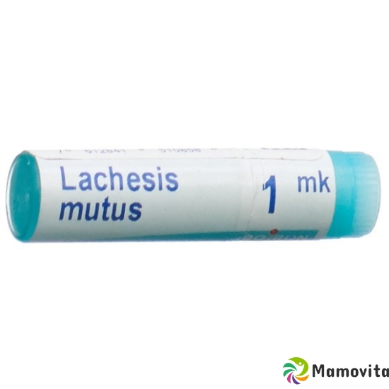 Boiron Lachesis Mutus Globuli Mk 1 Dos buy online