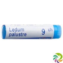 Boiron Ledum Palustre Globuli C 9 1 Dos