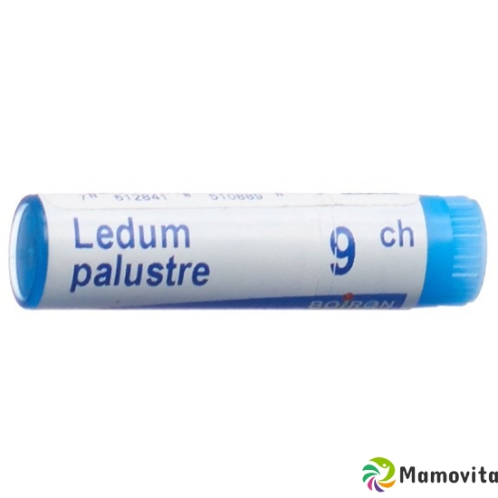 Boiron Ledum Palustre Globuli C 9 1 Dos buy online