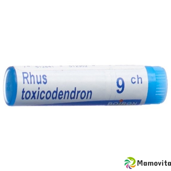 Boiron Rhus Toxicodendron Globuli C 9 1 Dos buy online