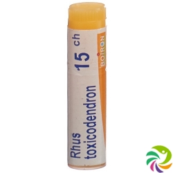 Boiron Rhus toxicodendron Glob C 15 1 dose