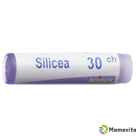 Boiron Silicea Globuli C 30 1 Dos buy online