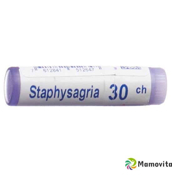 Boiron Staphysagria Globuli C 30 1 Dos buy online