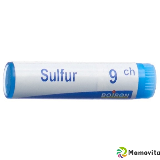 Boiron Sulfur Globuli C 9 1 Dos buy online