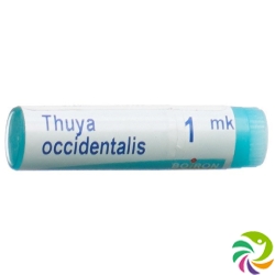 Boiron Thuya Occidentalis Globuli Mk 1 Dos