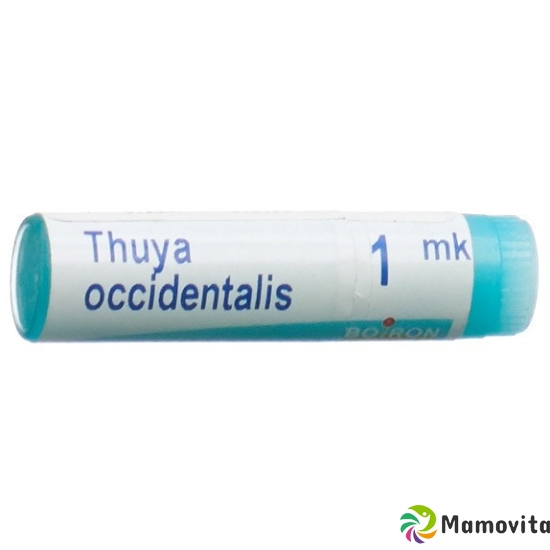 Boiron Thuya Occidentalis Globuli Mk 1 Dos buy online