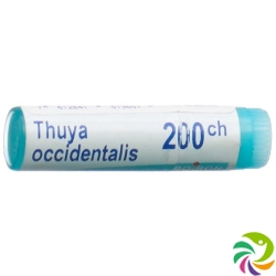 Boiron Thuya Occidentalis Globuli C 200 1 Dos