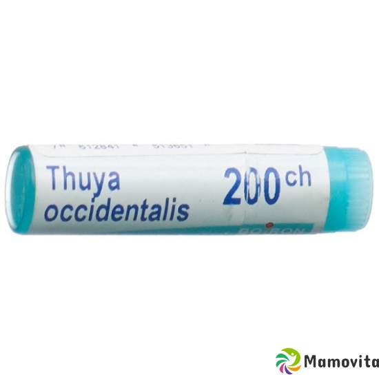 Boiron Thuya Occidentalis Globuli C 200 1 Dos buy online