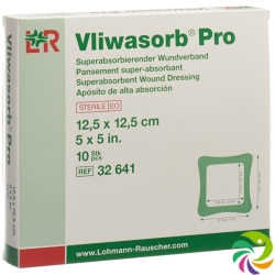 Vliwasorb Pro Wundverband 12.5x12.5cm 10 Stück