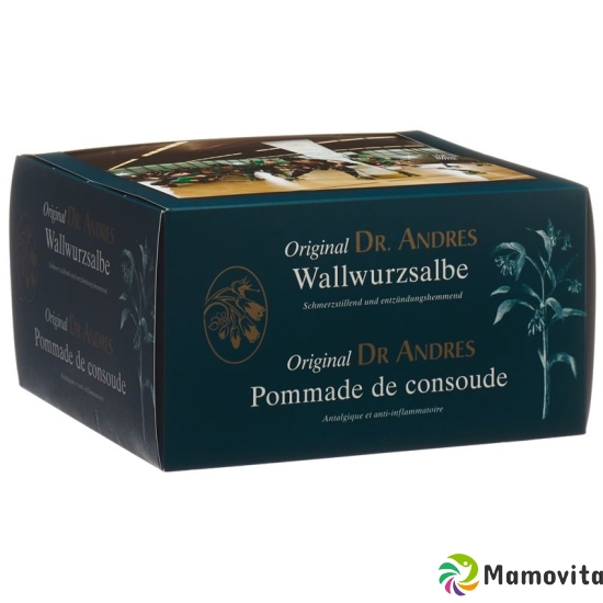 Andres wallwurz ointment counter display 12x95 ml buy online