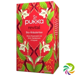 Pukka Revital Tee Bio Beutel 20 Stück