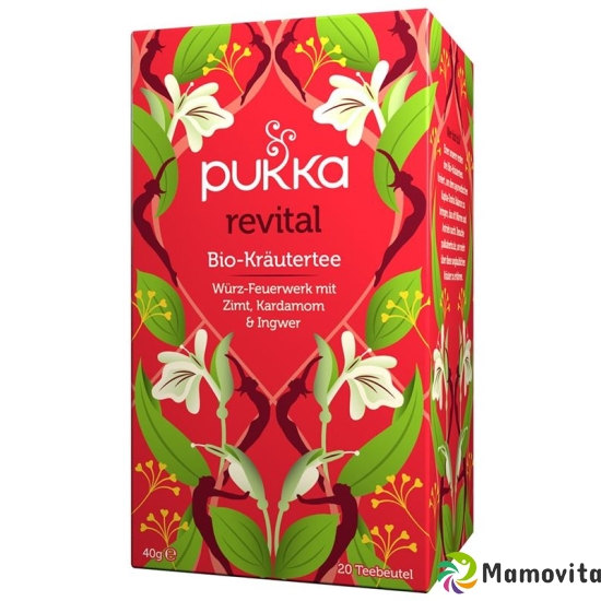 Pukka Revital Tee Bio Beutel 20 Stück buy online