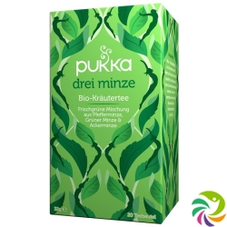 Pukka Drei Minze Tee Bio Beutel 20 Stück