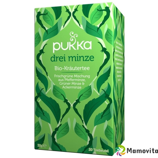 Pukka Drei Minze Tee Bio Beutel 20 Stück buy online