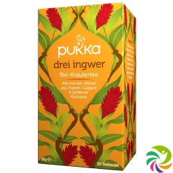 Pukka Drei Ingwer Tee Bio Beutel 20 Stück