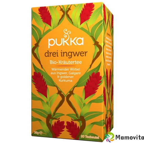 Pukka Drei Ingwer Tee Bio Beutel 20 Stück buy online