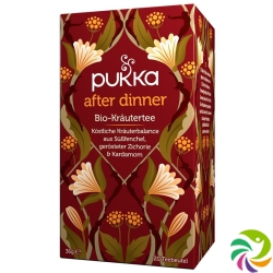 Pukka After Dinner Tee Bio Beutel 20 Stück