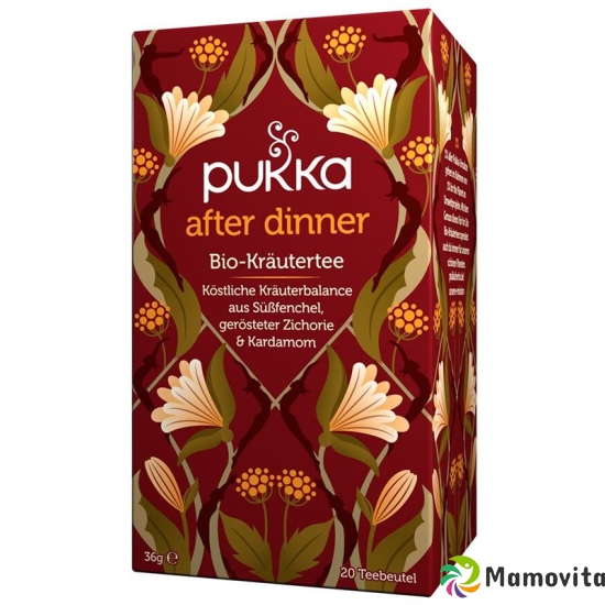 Pukka After Dinner Tee Bio Beutel 20 Stück buy online