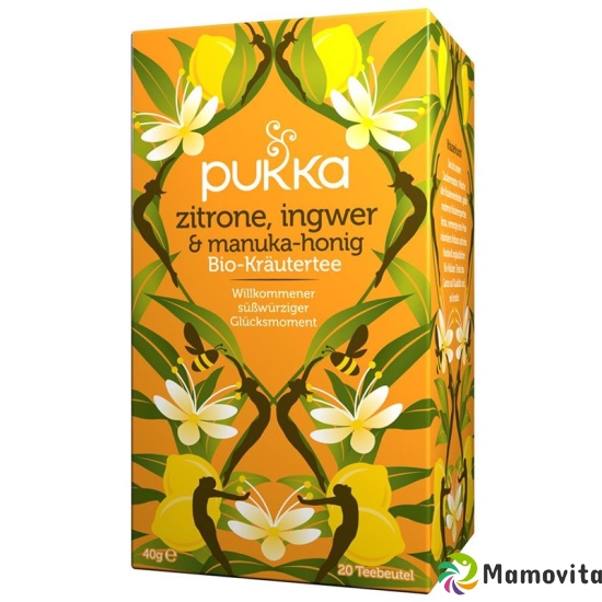 Pukka Zitrone, Ingwer & Manuka-Honig Tee Bio (neu) Beutel 20 Stück buy online