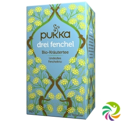 Pukka Drei Fenchel Tee Bio Beutel 20 Stück