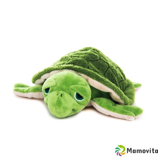 Habibi Plush Wasserschildkröte Grün buy online