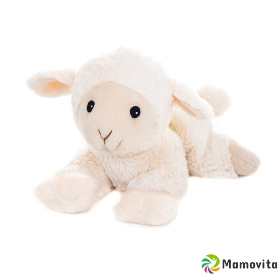 Habibi Plush lamb buy online