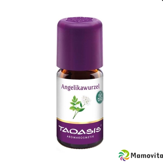 Taoasis Angelikawurzel Ätherisches Öl Bio 5ml buy online