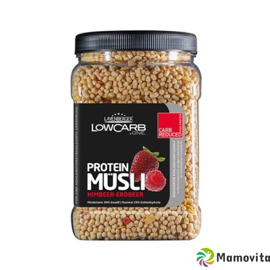 Layenberger Lowcarb.one Prot-Muesli Erdb-Himb 565 buy online