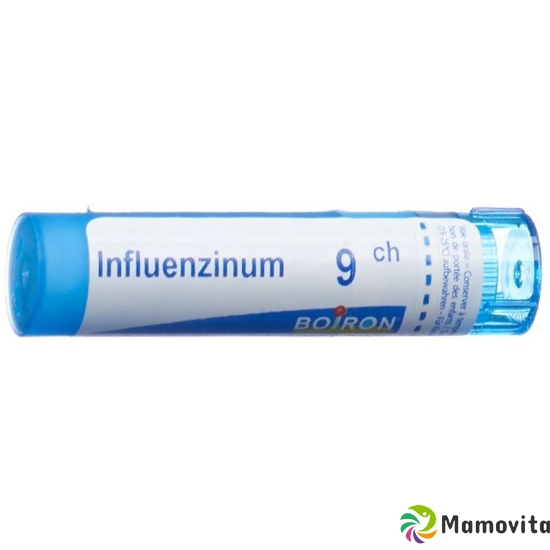 Boiron Influenzinum Granulat C 9 4g buy online