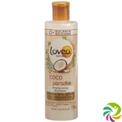 Lovea Shampoo Coco Paradise Chev Secs Abimes 250ml