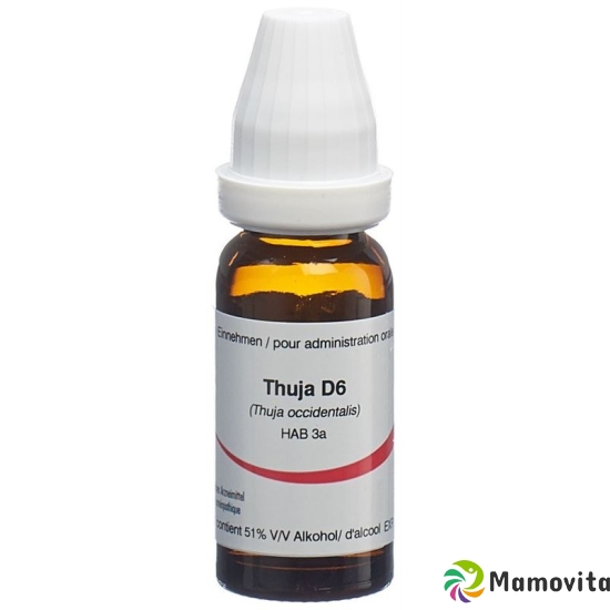 Omida Thuja Liquid D 6 15ml buy online