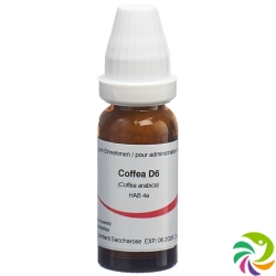 Omida Coffea Globuli D 6 14g