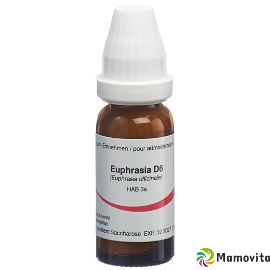 Omida Euphrasia Globuli D 6 14g buy online