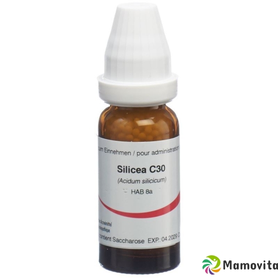 Omida Silicea Globuli C 30 14g buy online