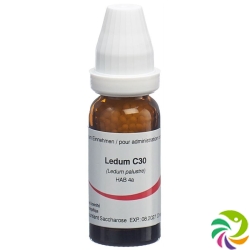 Omida Ledum Globuli C 30 14g