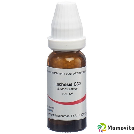 Omida Lachesis Globuli C 30 14g buy online