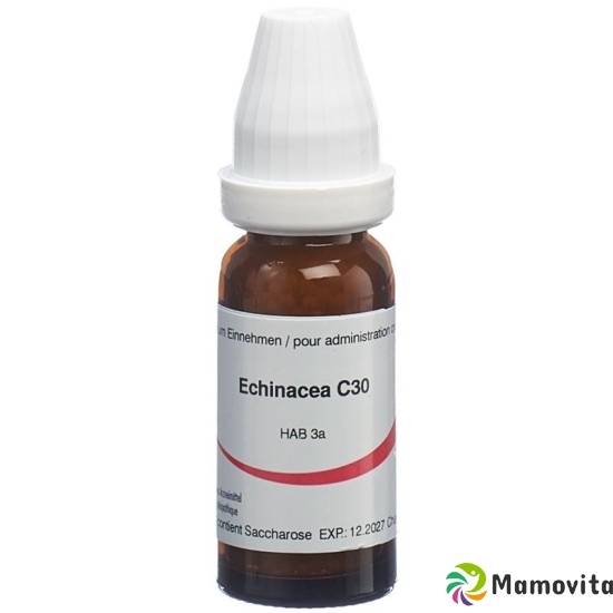 Omida Echinacea Globuli C 30 14g buy online