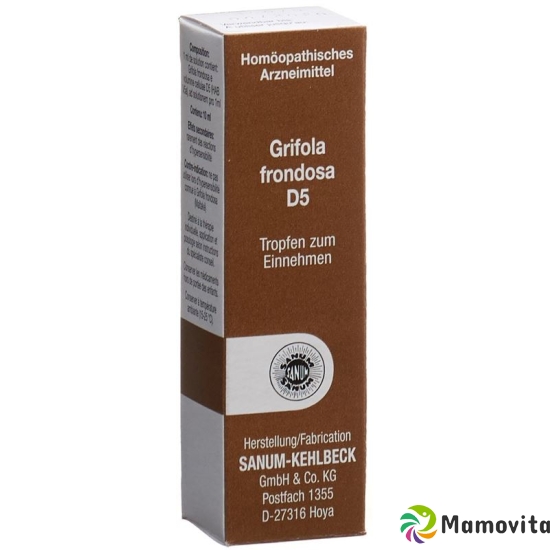 Sanum Grifola Frondosa Tropfen D 5 10ml buy online