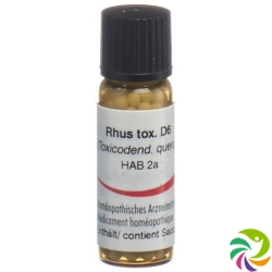 Omida Rhus Toxicodendron Globuli D 6 2g