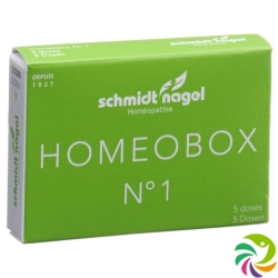 Sn Homeobox 1 Globuli Schachtel 5 Tube 1g